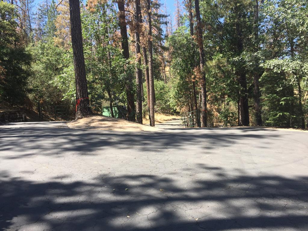 Yosemite Bass Lake Dream Cottage Exterior foto